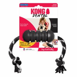 Kong Dental Medium