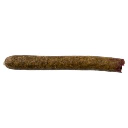 Toreros Chicken Stogie