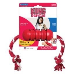 Kong Dental+Rope Medium