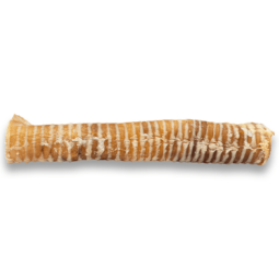 Asado Beef Trachea 12"