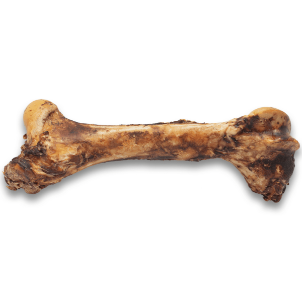 Asado Monster Beef Bone