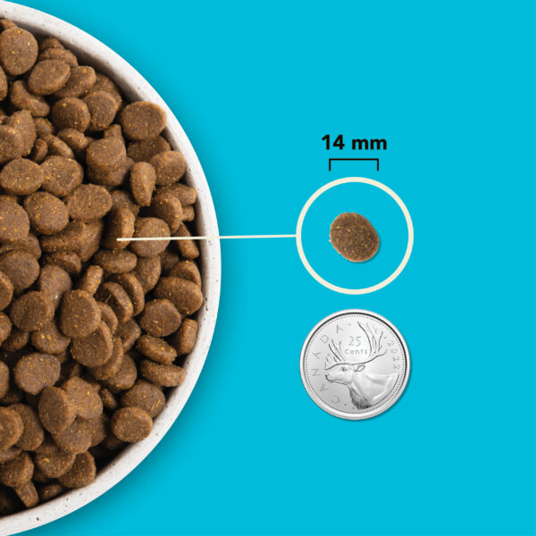 Acana Highest Protein Pacifica - Image 6