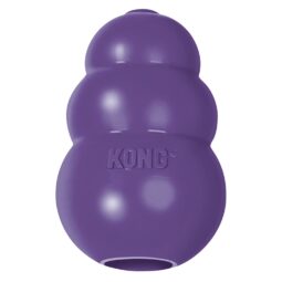 Kong Classic Senior