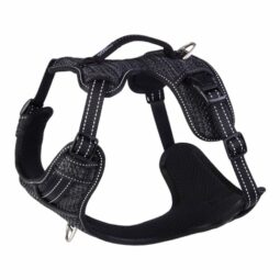 Rogz Explore Harness Medium