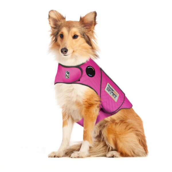 ThunderShirt Sport - Image 2