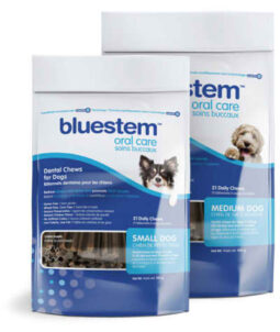 VDISC - Bluestem Oral Care Dental Chew