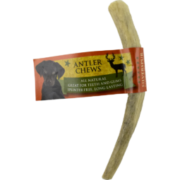 Silver Spur Antler Chew Solid