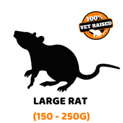 Exotic Feeders Rat Large 200g+ - 2pk