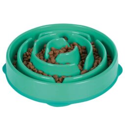 Outward Hound Fun Feeder Teal 4 cup