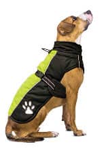 Fashion Pet Sporty Jacket
