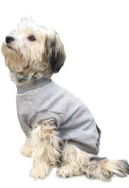 Fashion Pet HOLD Sweatshirt