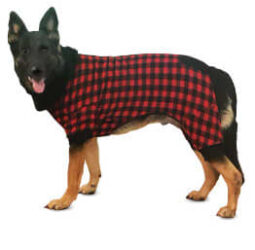 Fashion Pet HOLD Buffalo PJs