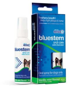 Bluestem Oral Spray-Vanilla Mint