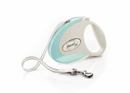 Flexi New Style Tape 3m Sm Mint