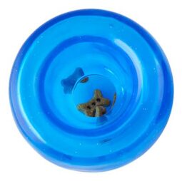 Lil Snoop Royal Blue 3