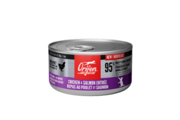 Orijen Wet Cat Food Chicken & Salmon Entree (Kitten) 85g