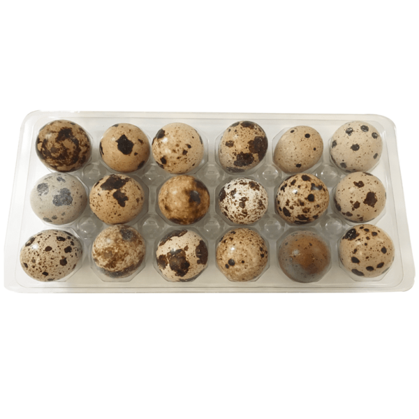 Big Country Raw Quail Eggs 18pk - Image 2