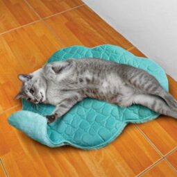 VDISC Kong PlaySpaces Cloud Crinkle & Catnip